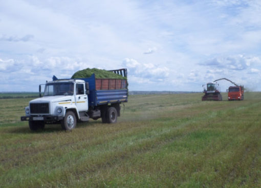В СХПК "Рассвет" идет заготовка сенажа из многолетних трав